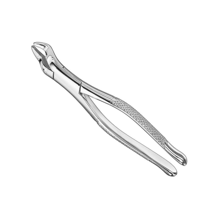 Extracting Forceps